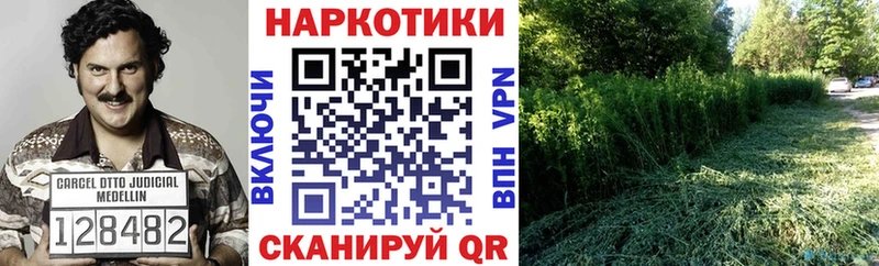 Виды наркотиков купить Артёмовский КОКАИН  APVP  Галлюциногенные грибы  Бошки Шишки 