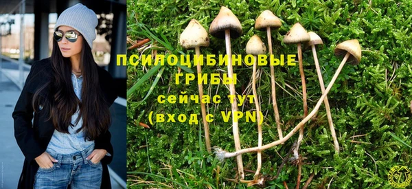 тгк Алексеевка