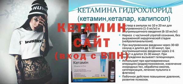 трава Аркадак