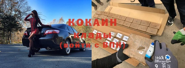 трава Аркадак